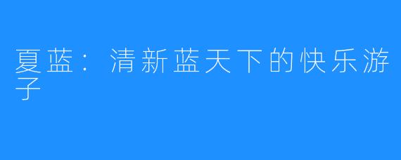 夏蓝:清新蓝天下的快乐游子