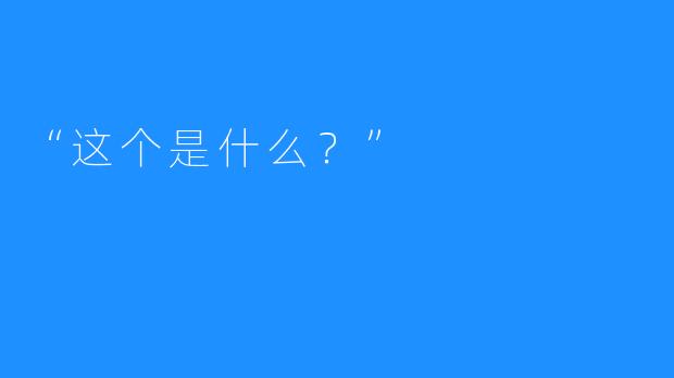 “这个是什么？” 