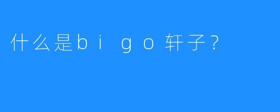 什么是bigo轩子?