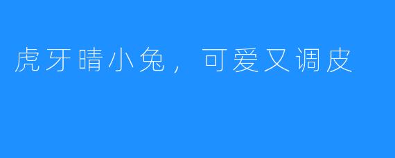 虎牙晴小兔,可爱又调皮