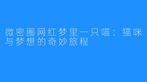 微密圈网红梦里一只喵:猫咪与梦想的奇妙旅程
