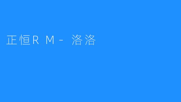 正恒RM-洛洛