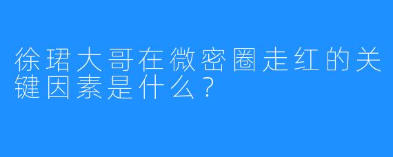 徐珺大哥在微密圈走红的关键因素是什么？