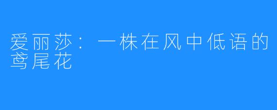 爱丽莎:一株在风中低语的鸢尾花
