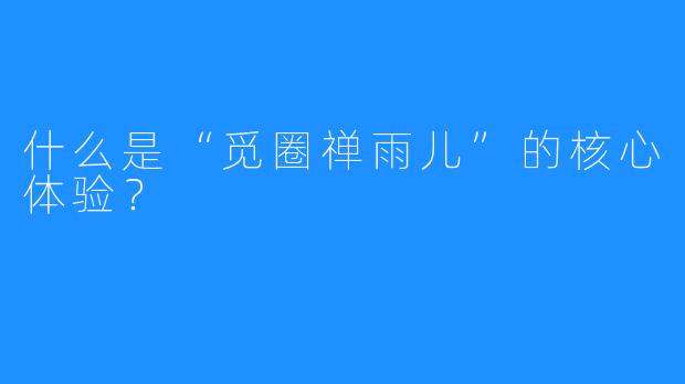 什么是“觅圈禅雨儿”的核心体验？