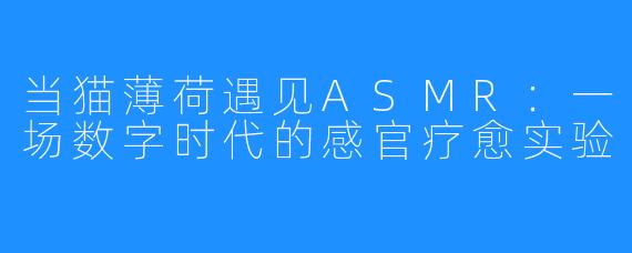 当猫薄荷遇见ASMR:一场数字时代的感官疗愈实验