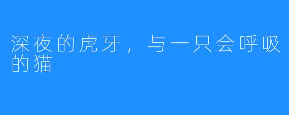 深夜的虎牙,与一只会呼吸的猫