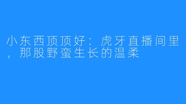 小东西顶顶好:虎牙直播间里,那股野蛮生长的温柔